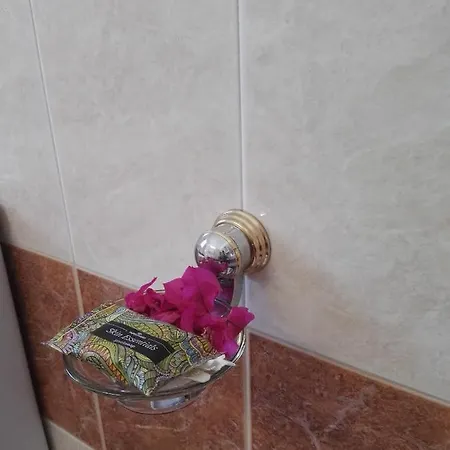 Bouganville Stegna Frühstückspension